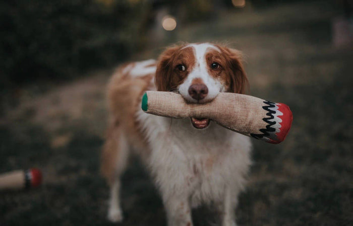 Dooby's Dog Toys - Large Hemp Joint Dog Toy - Dog.Dog.Cat.