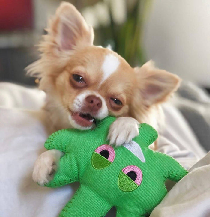 Dooby's Dog Toys - Pot Leaf Emoji Hemp Dog Toy - Dog.Dog.Cat.