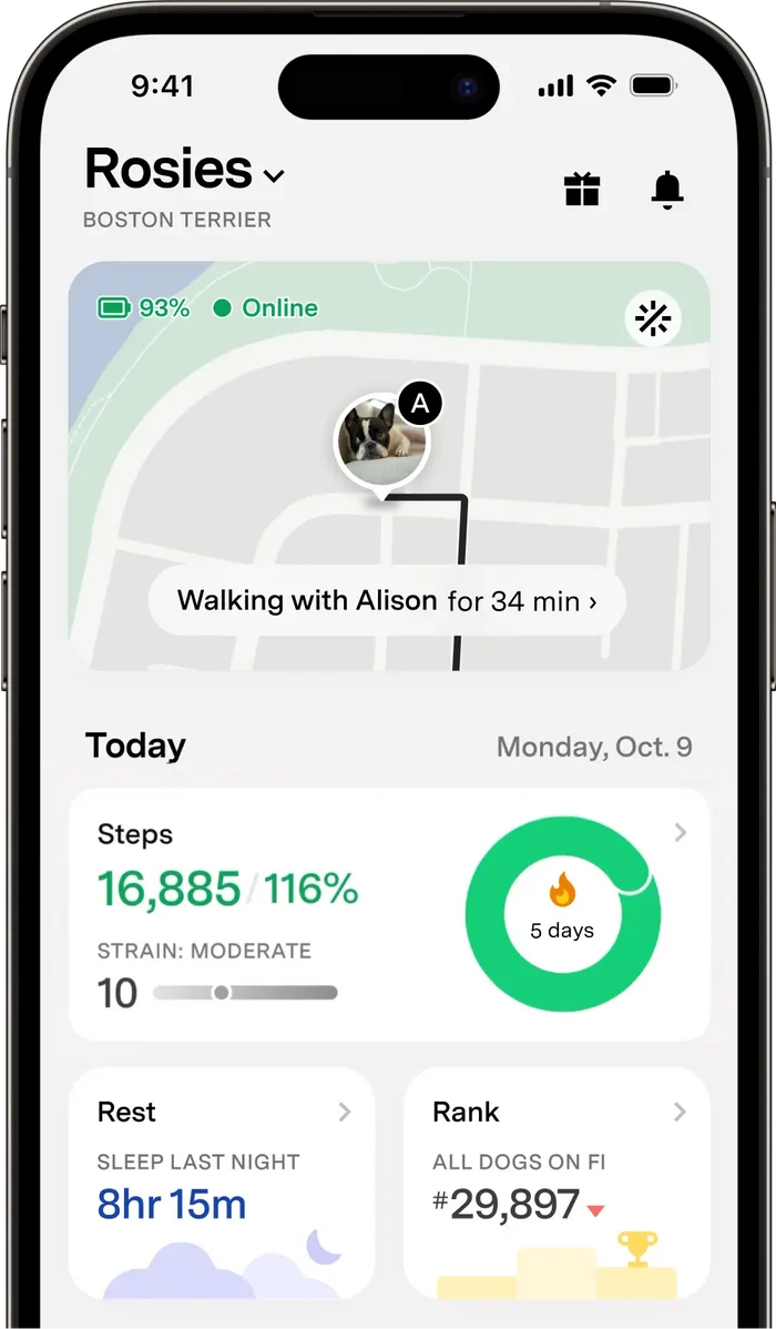 Fi Mini GPS Dog Collar - Real-Time Location Tracking for Dogs - Subscription Required - Dog.Dog.Cat.
