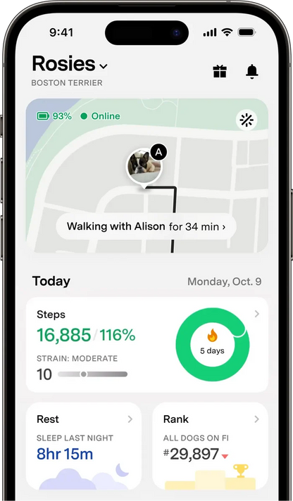 Fi Mini GPS Dog Collar - Real-Time Location Tracking for Dogs - Subscription Required - Dog.Dog.Cat.