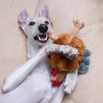 Fluff & Tuff Chandler Rooster - Ultra-Durable Plush Dog Toy - Dog.Dog.Cat.