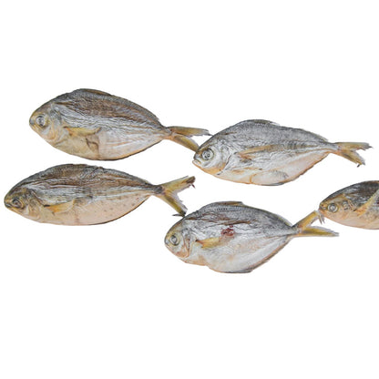Frost Fang LLC - Freeze Dried Butterfish - Dog.Dog.Cat.