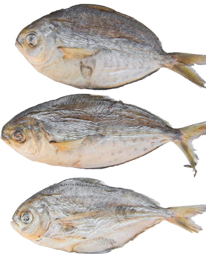 Frost Fang LLC - Freeze Dried Butterfish - Dog.Dog.Cat.