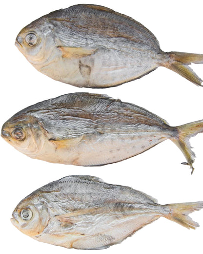 Frost Fang LLC - Freeze Dried Butterfish - Dog.Dog.Cat.