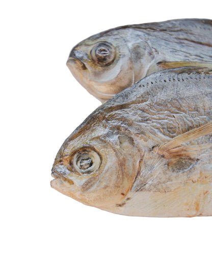 Frost Fang LLC - Freeze Dried Butterfish - Dog.Dog.Cat.