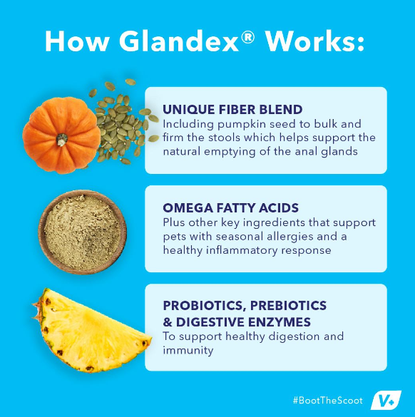 Glandex Anal Gland Support Soft Chews Peanut Butter 30ct - Dog.Dog.Cat.