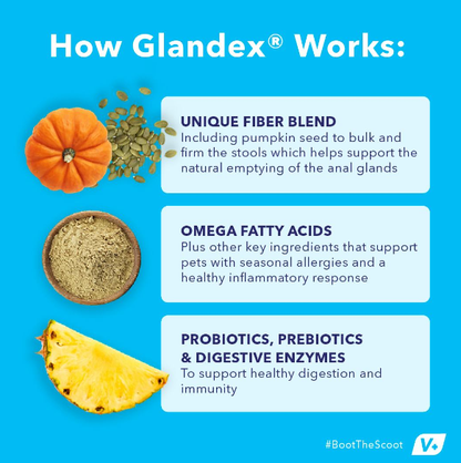 Glandex Anal Gland Support Soft Chews Peanut Butter 30ct - Dog.Dog.Cat.