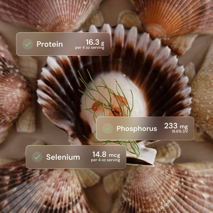 Half-Shell Scallops
