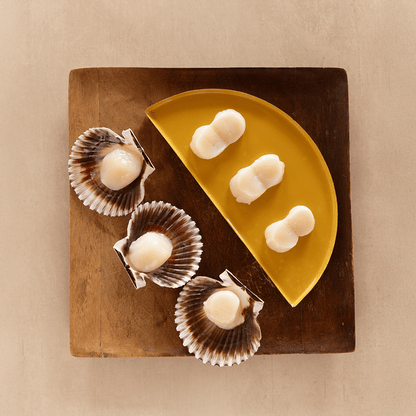 Scallop Meat - SEATOPIA