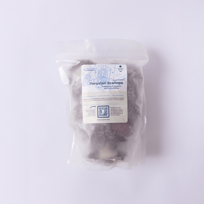Scallops - SEATOPIA