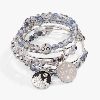 Shiny Silver