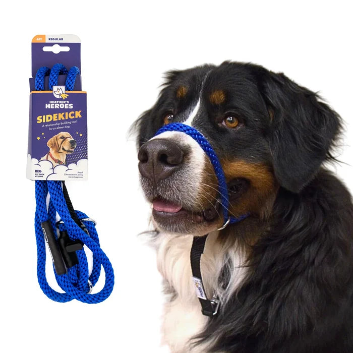 Heather's Heroes Sidekick Leash - Dog.Dog.Cat.
