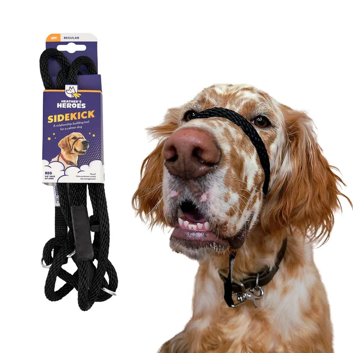 Heather's Heroes Sidekick Leash - Dog.Dog.Cat.
