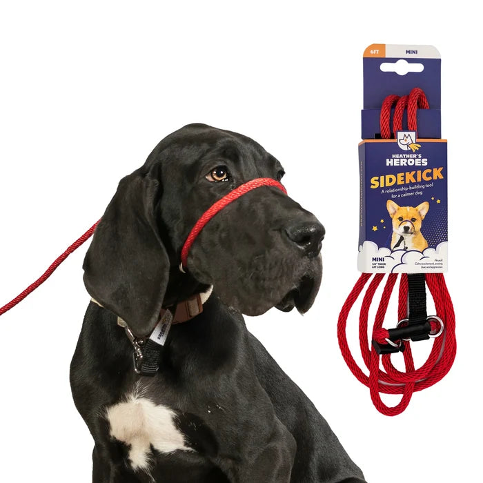 Heather's Heroes Sidekick Leash - Dog.Dog.Cat.