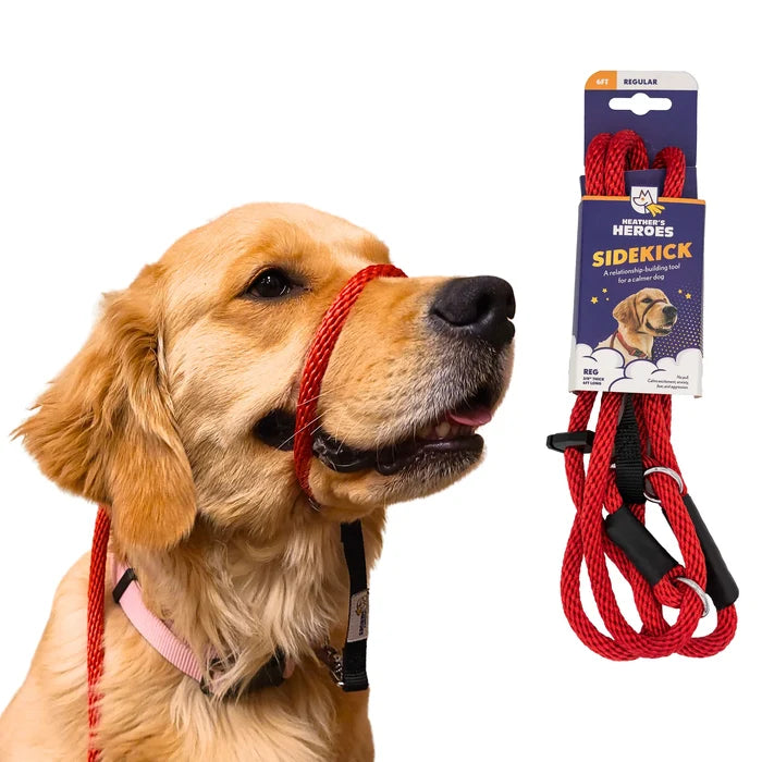 Heather's Heroes Sidekick Leash - Dog.Dog.Cat.