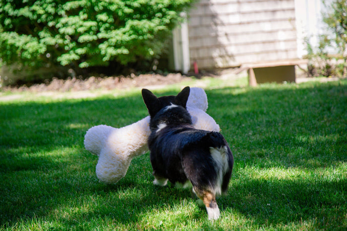 HuggleFleece® 2' Bone Plush Dog Toy - Dog.Dog.Cat.