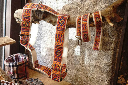 hundsfutter - "Ruben" dog harness and leash - Dog.Dog.Cat.