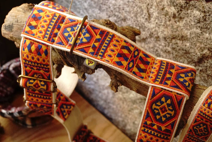 hundsfutter - "Ruben" dog harness and leash - Dog.Dog.Cat.