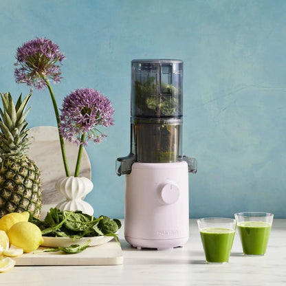 Hurom H310ABGC04PL Easy Series Slow Juicer Purple