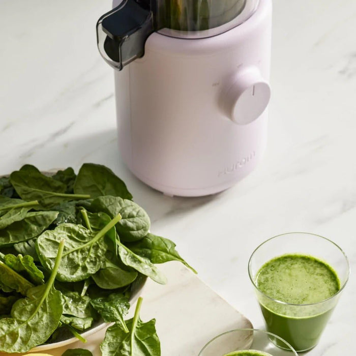Hurom H310ABGC04PL Easy Series Slow Juicer Purple