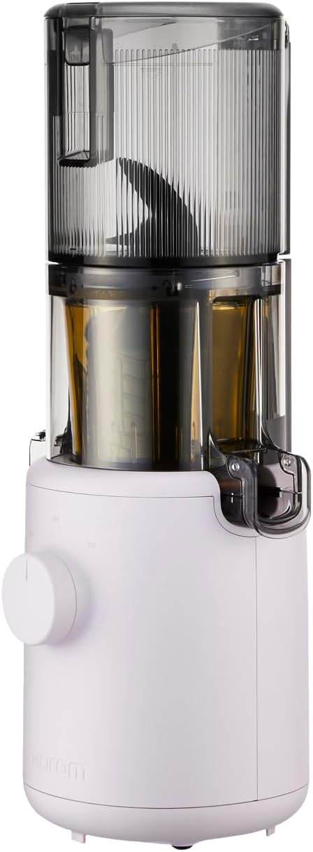 Hurom H310ABGC04PL Easy Series Slow Juicer Purple