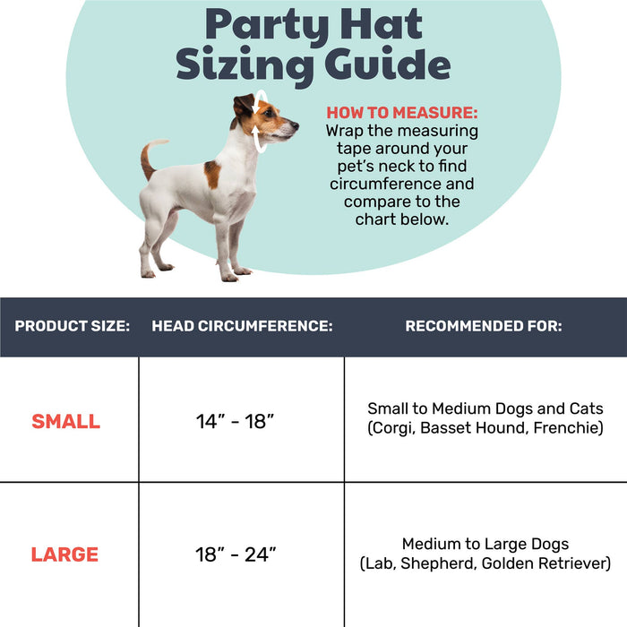 Party Time Pink Party Hat with SnugFit® - Dog.Dog.Cat.