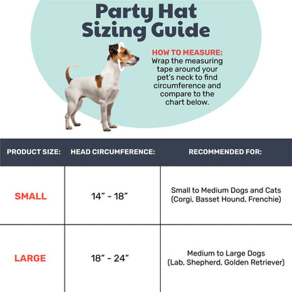Party Time Pink Party Hat with SnugFit® - Dog.Dog.Cat.