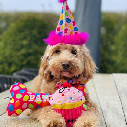 Party Time Pink Party Hat with SnugFit® - Dog.Dog.Cat.