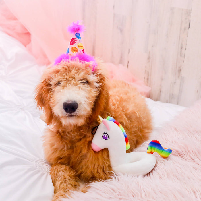 Party Time Pink Party Hat with SnugFit® - Dog.Dog.Cat.