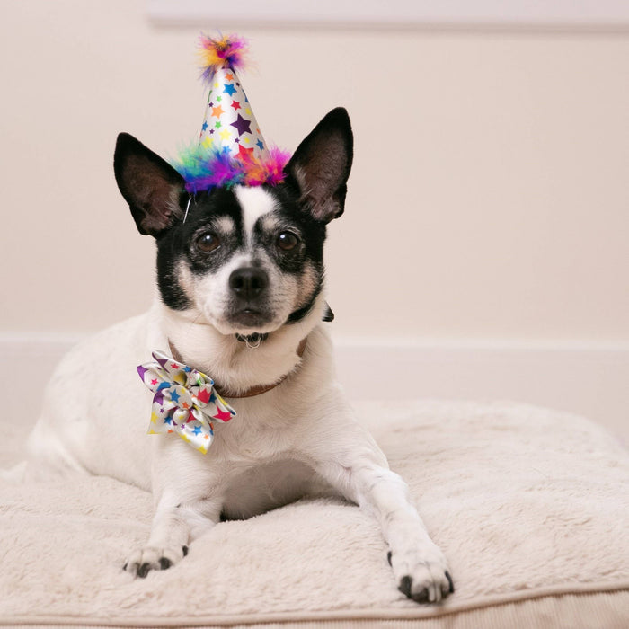 Huxley & Kent Superstar Party Hat with SnugFit® - Dog Birthday Hat - Gold Stars - Dog.Dog.Cat.