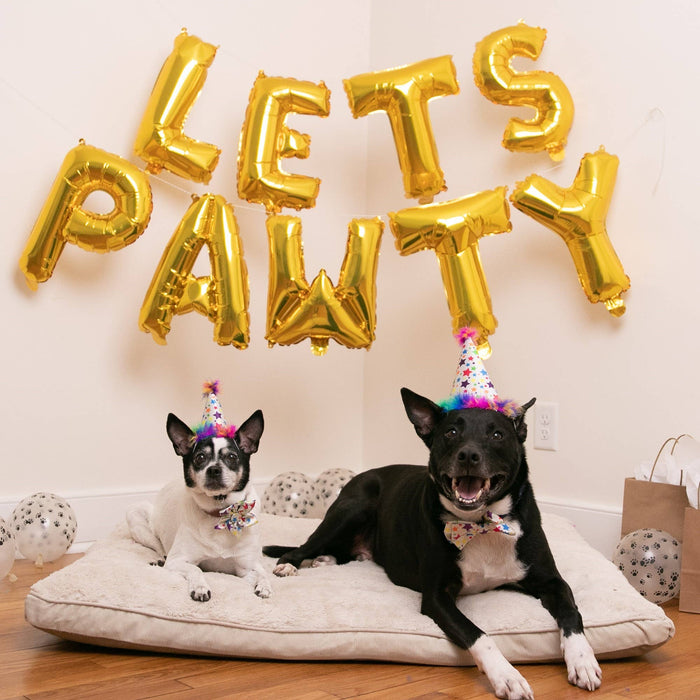 Huxley & Kent Superstar Party Hat with SnugFit® - Dog Birthday Hat - Gold Stars - Dog.Dog.Cat.