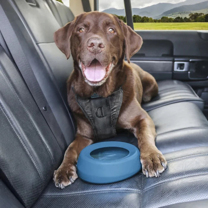Kurgo Splash-Free Wander Water Bowl - Silicone Travel Bowl - Dog.Dog.Cat.