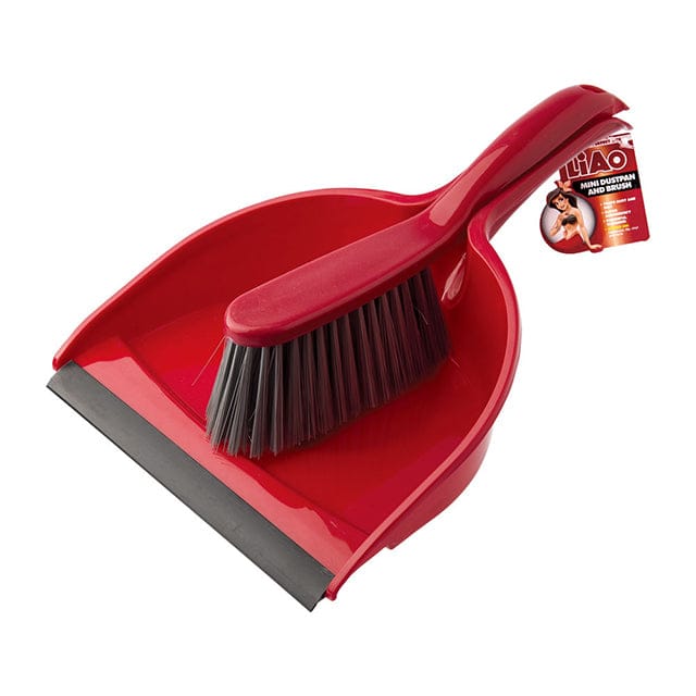 LIAO Dust Pan & Broom Set 22 cm- C130011 MEGA