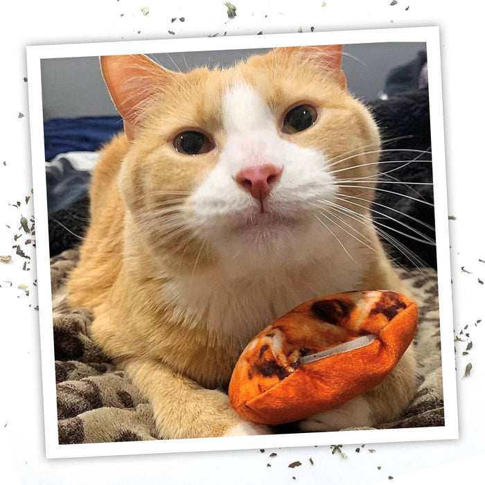 Meowijuana Get Baked Cookie Cat Toy - Dog.Dog.Cat.