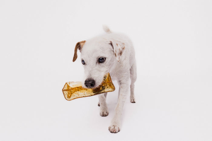 Mighty Marrows Collagen Dental Chew - Beef Liver - SM/LG - Dog.Dog.Cat.