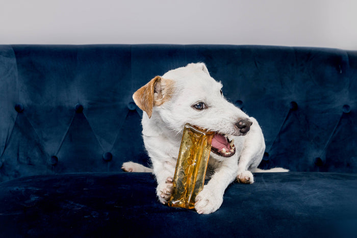 Mighty Marrows Collagen Dental Chew - Beef Liver - SM/LG - Dog.Dog.Cat.