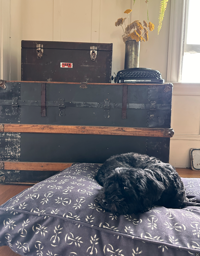 Molly Mutt - A Million Dreams Organic Cotton Dog Duvet - Dog.Dog.Cat.