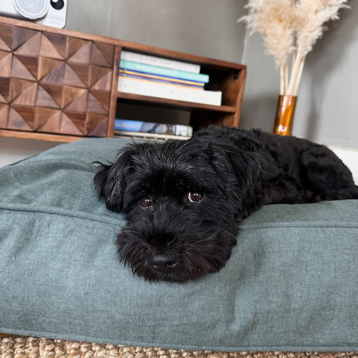 Molly Mutt - Quiet Light Organic Cotton Dog Duvet - Dog.Dog.Cat.