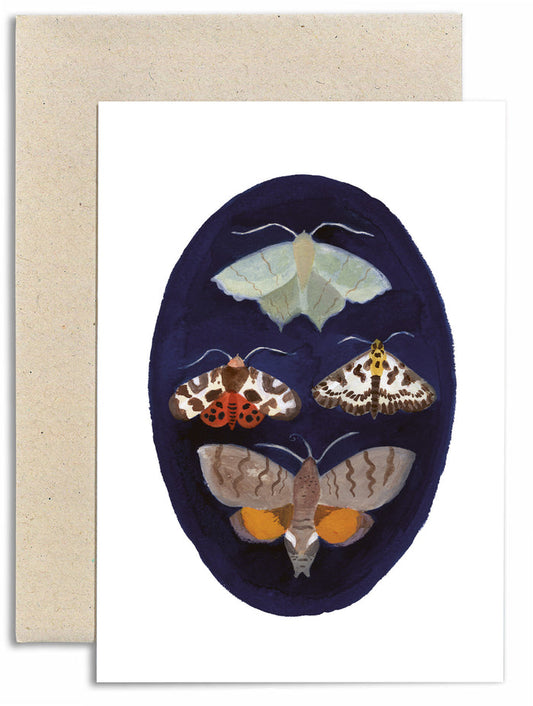 Moth Studies Card