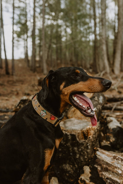 National Barks Dog Collar - Dog.Dog.Cat.