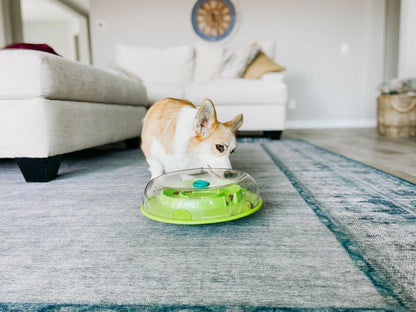 Nina Ottosson Wobble Slow Feeder Bowl Dog Game Blue/Green - Dog.Dog.Cat.