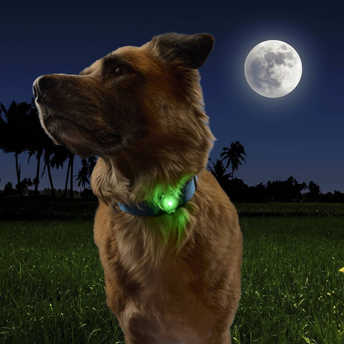 Nite Ize NiteDog™ Rechargeable Pet Light - Disc-O Tech™ - Dog.Dog.Cat.