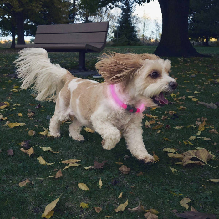 Nite Ize NiteHowl® Rechargeable LED Safety Necklace - Pink - Dog.Dog.Cat.