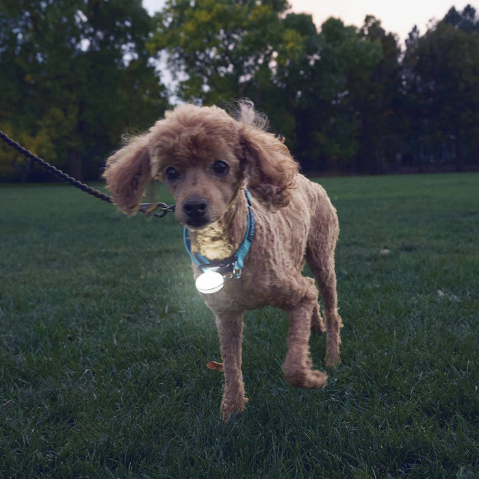 Nite Ize SpotLit® Rechargeable Collar Light - White - Dog.Dog.Cat.