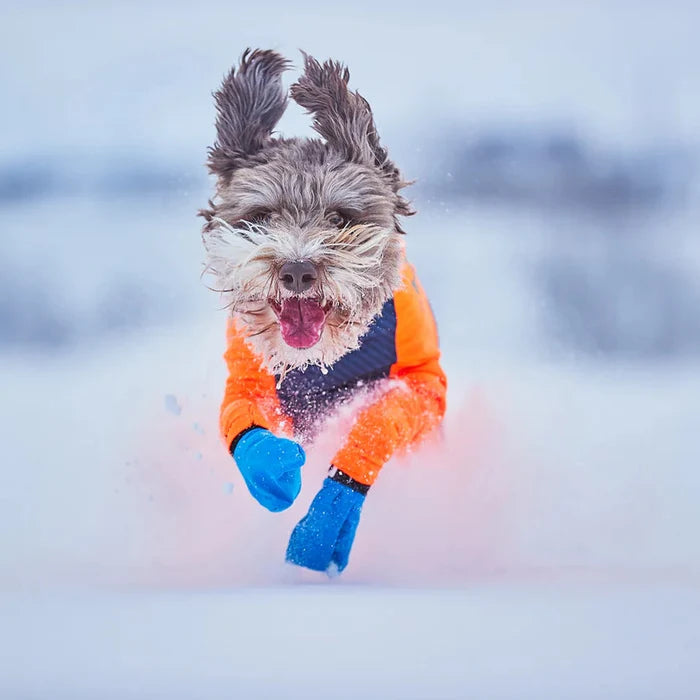 NonStop Dogwear Long Distance Dog Boots - Professional Running Booties for Mushing, Canicross & Trail Running - Dog.Dog.Cat.