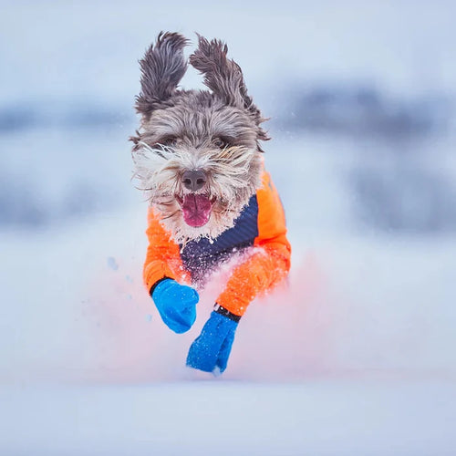 NonStop Dogwear Long Distance Dog Boots - Professional Running Booties for Mushing, Canicross & Trail Running - Dog.Dog.Cat.