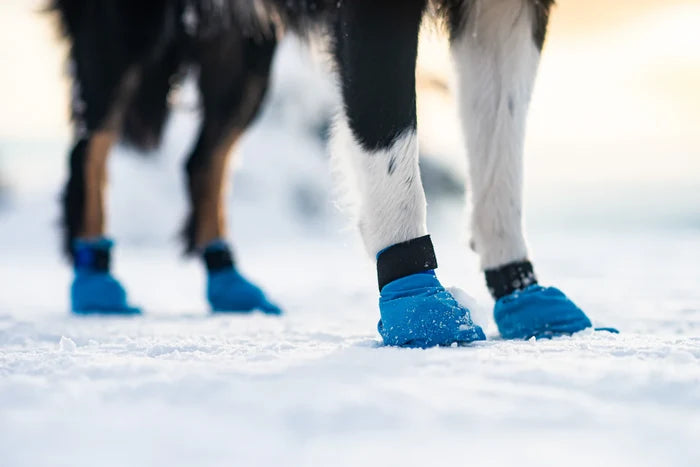 NonStop Dogwear Long Distance Dog Boots - Professional Running Booties for Mushing, Canicross & Trail Running - Dog.Dog.Cat.