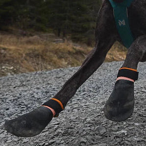 NonStop Dogwear Protector Dog Boots - Professional Paw Protection Booties for Hot Pavement, Glass, Salt & Rough Terrain - Dog.Dog.Cat.