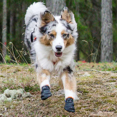 NonStop Dogwear Protector Dog Boots - Professional Paw Protection Booties for Hot Pavement, Glass, Salt & Rough Terrain - Dog.Dog.Cat.