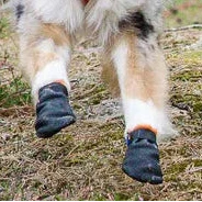 NonStop Dogwear Protector Dog Boots - Professional Paw Protection Booties for Hot Pavement, Glass, Salt & Rough Terrain - Dog.Dog.Cat.